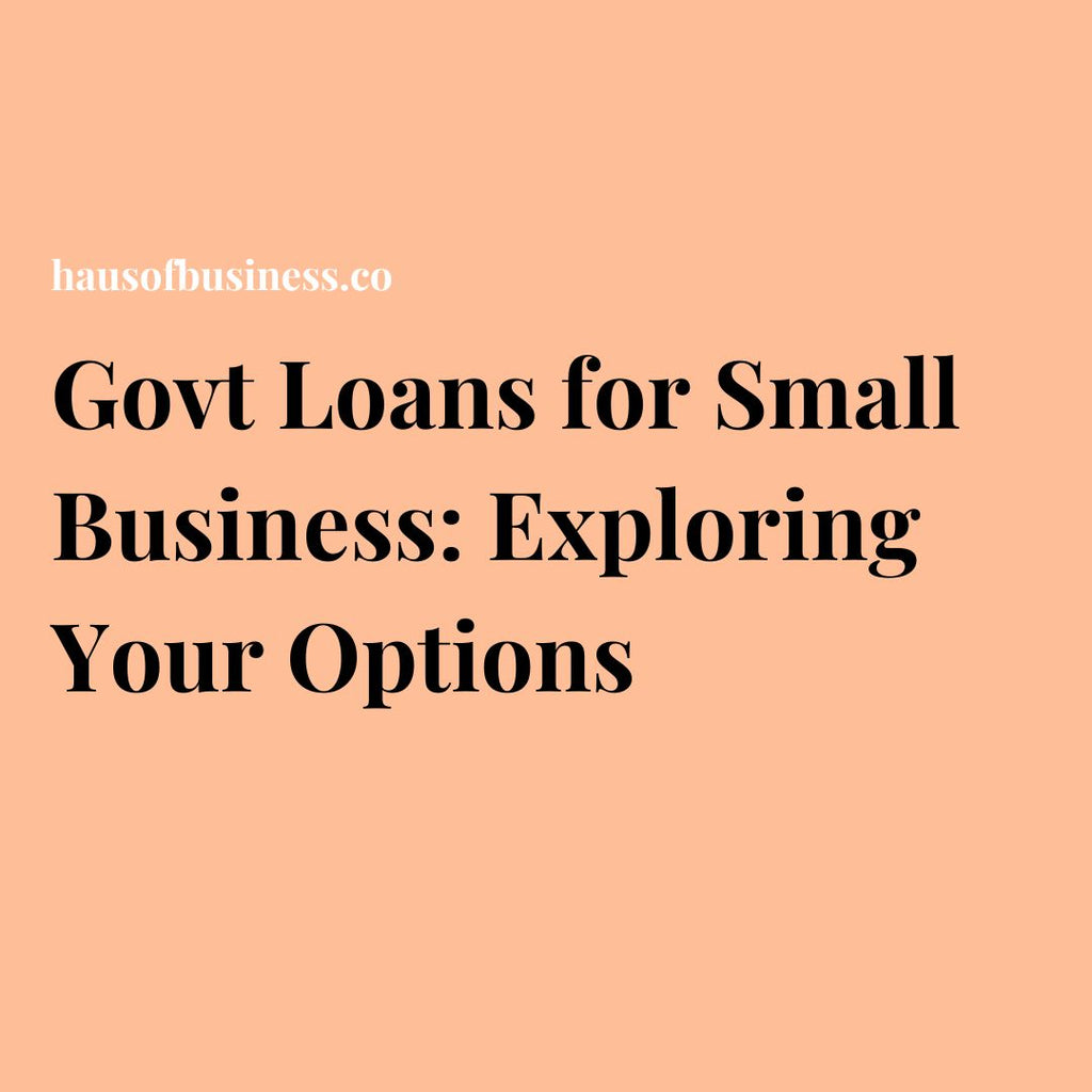 Govt Loans for Small Business: Exploring Your Options