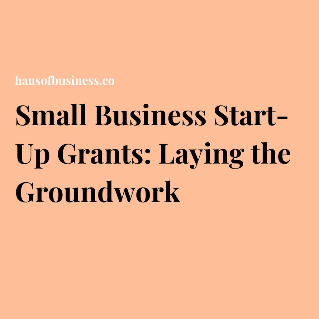 Small Business Start-Up Grants: Laying the Groundwork